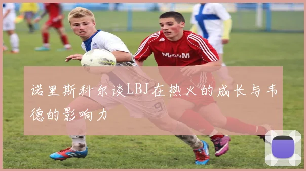 诺里斯科尔谈LBJ在热火的成长与韦德的影响力