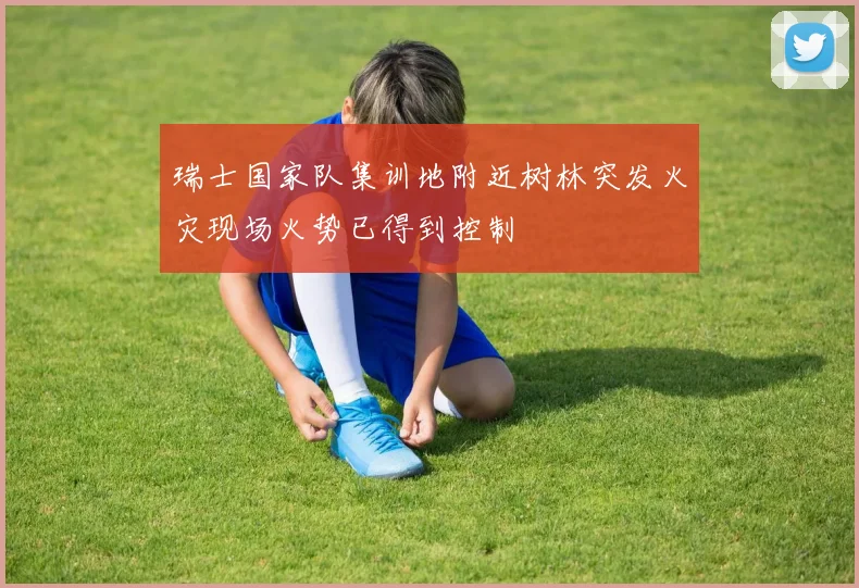 瑞士国家队集训地附近树林突发火灾现场火势已得到控制