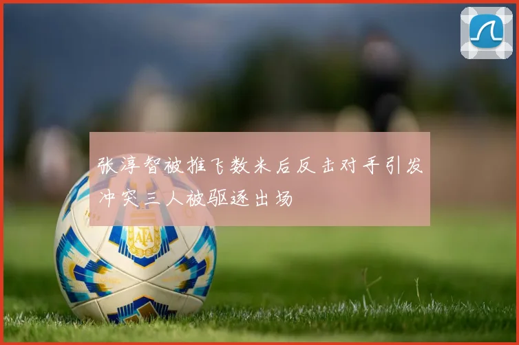 张淳智被推飞数米后反击对手引发冲突三人被驱逐出场
