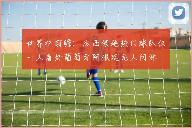 世界杯前瞻：法西领跑热门球队仅一人看好葡萄牙阿根廷无人问津