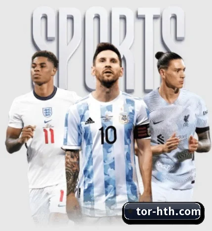 五大服务分区,信息按项目分类